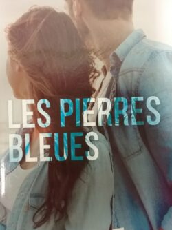 Les pierres bleues Chantal Bissonnette