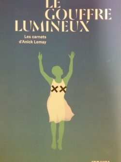 Le gouffre lumineux les carnets d'Anick Lemay Anick Lemay