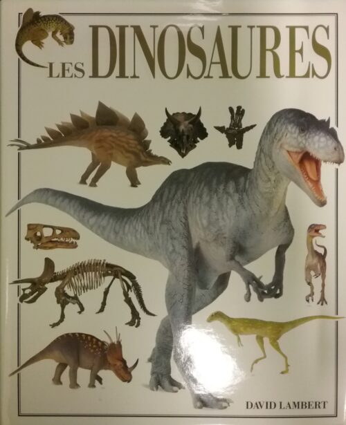 Les dinosaures David Lambert