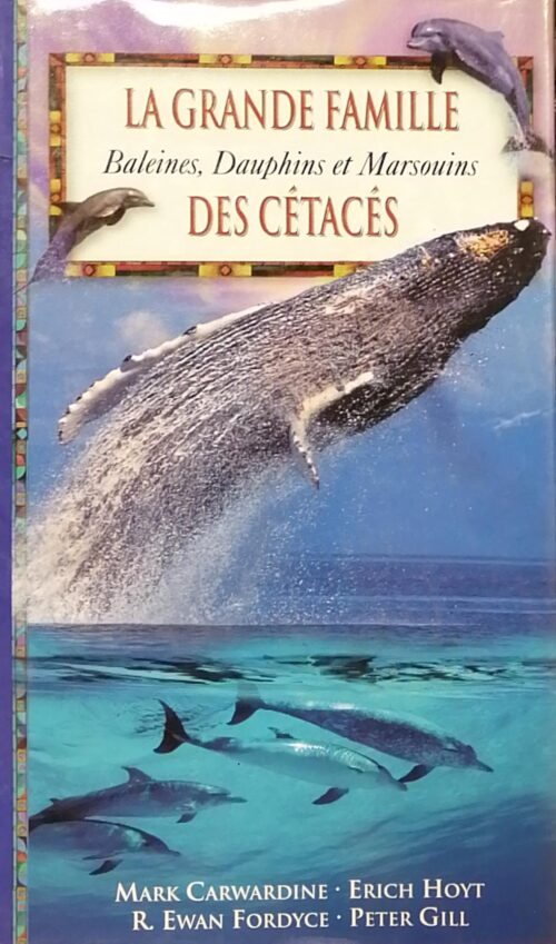 La grande famille des cétacés : Baleines, dauphins et marsouins