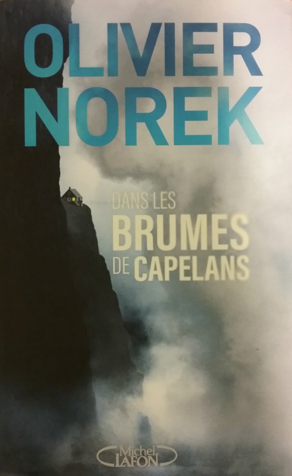 Dans les brumes de Capelans Olivier Norek