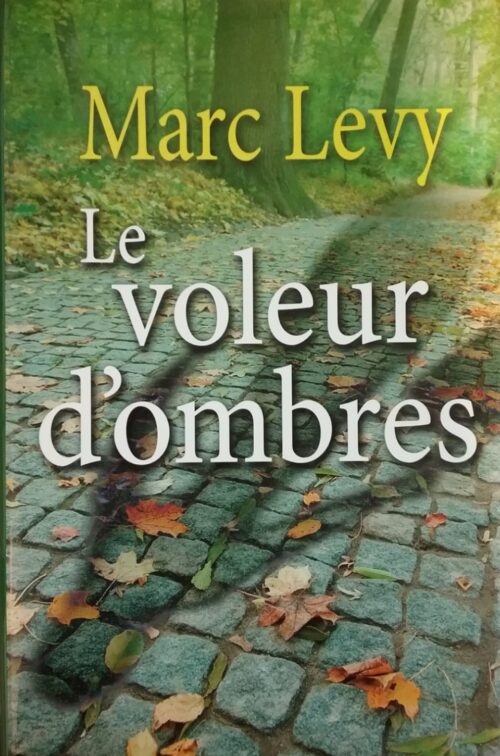 Le voleur d'ombres Marc Levy