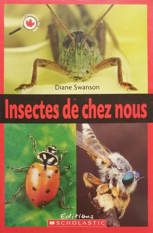 Insectes de chez nous Diane Swanson