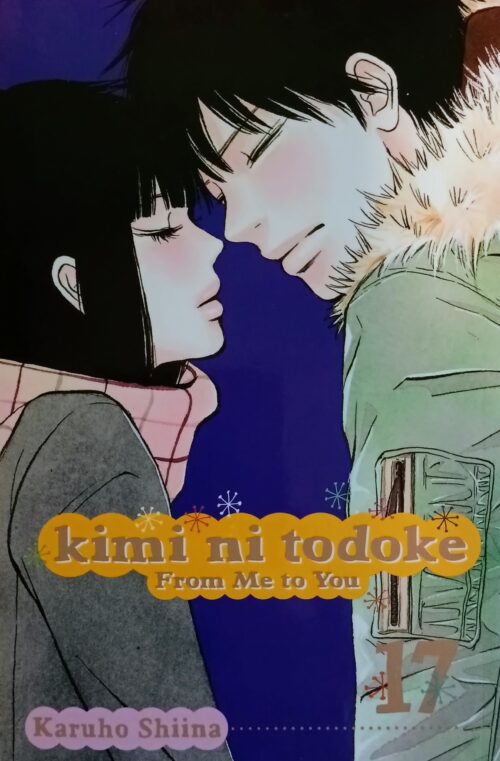 Kimi ni Todoke : From Me to You Book 17 Karuho Shiina