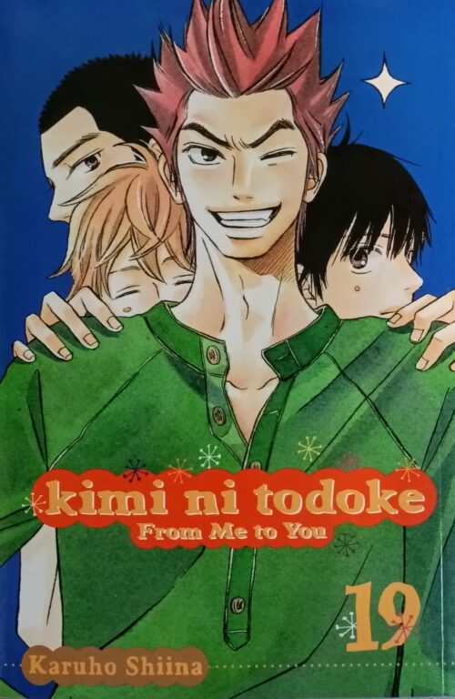 Kimi ni Todoke : From Me to You Book 19 Karuho Shiina