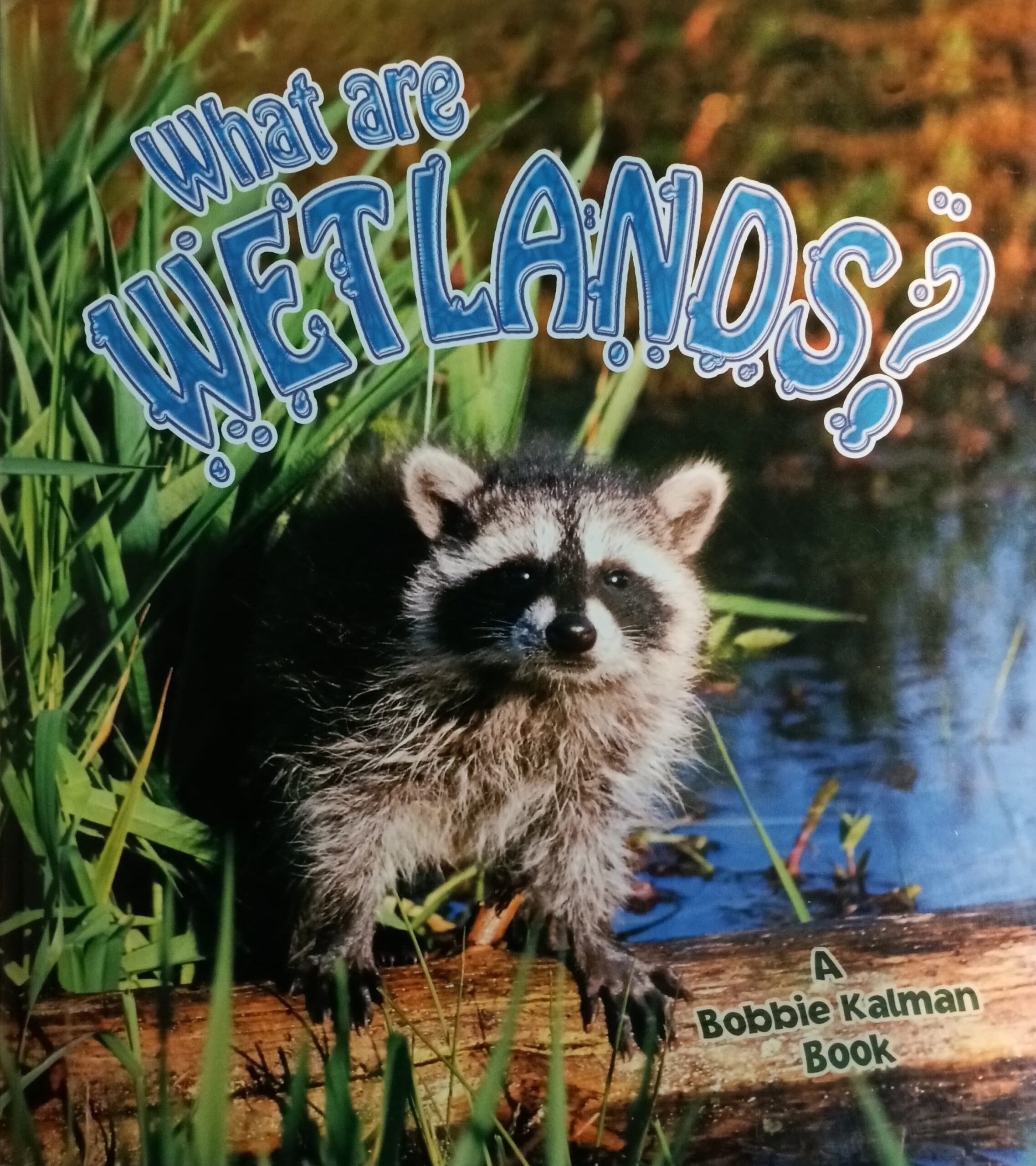 What are Wetlands ?