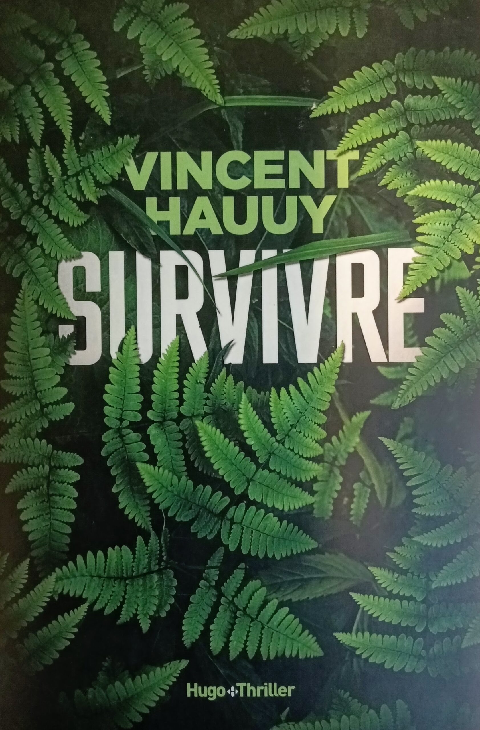 Survivre Vincent Hauuy