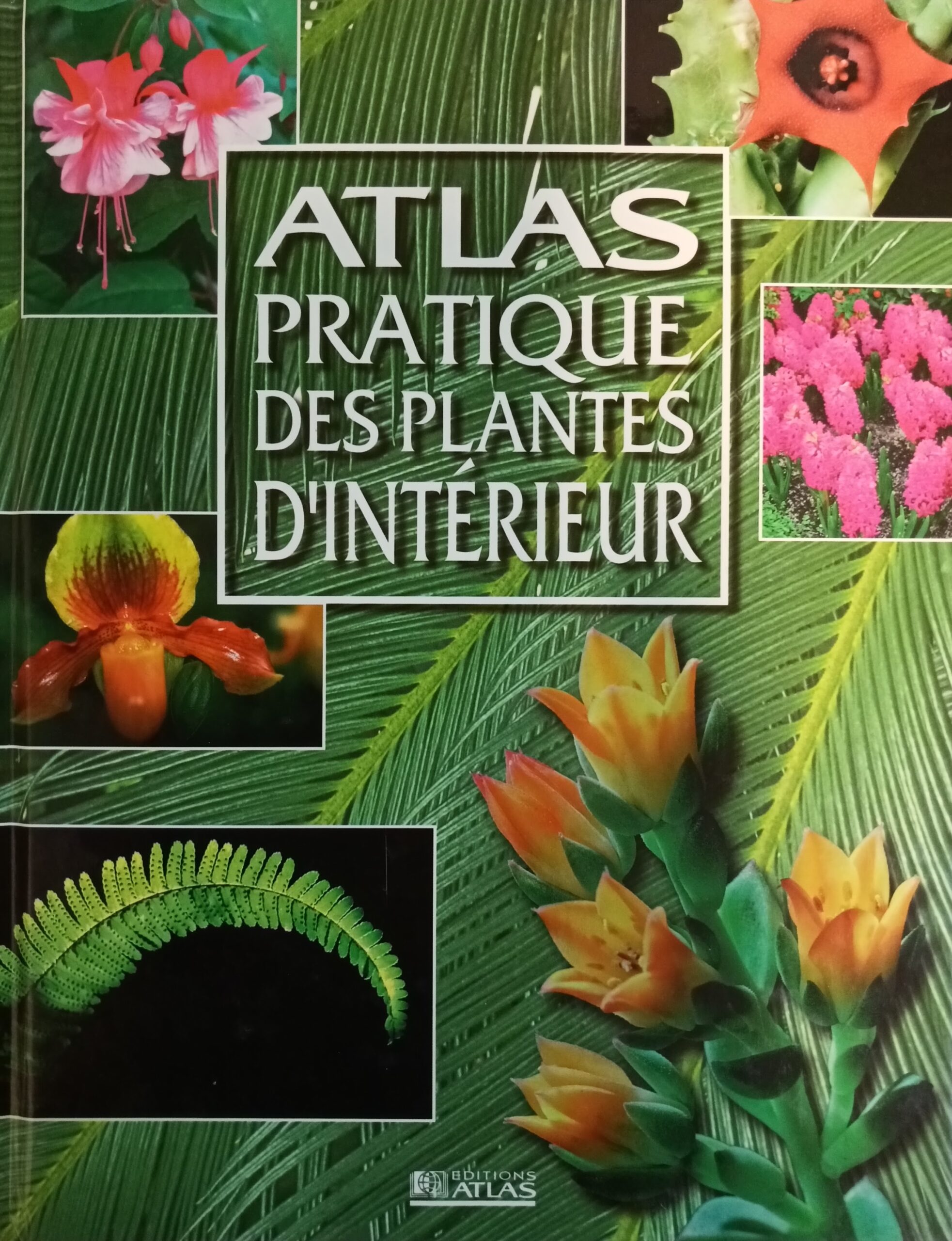 Atlas pratique des plantes d'intérieur