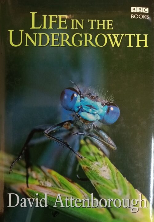 Life in the Undergrowth David Attenborough