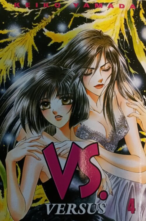 Versus book 4 Keiko Yamada