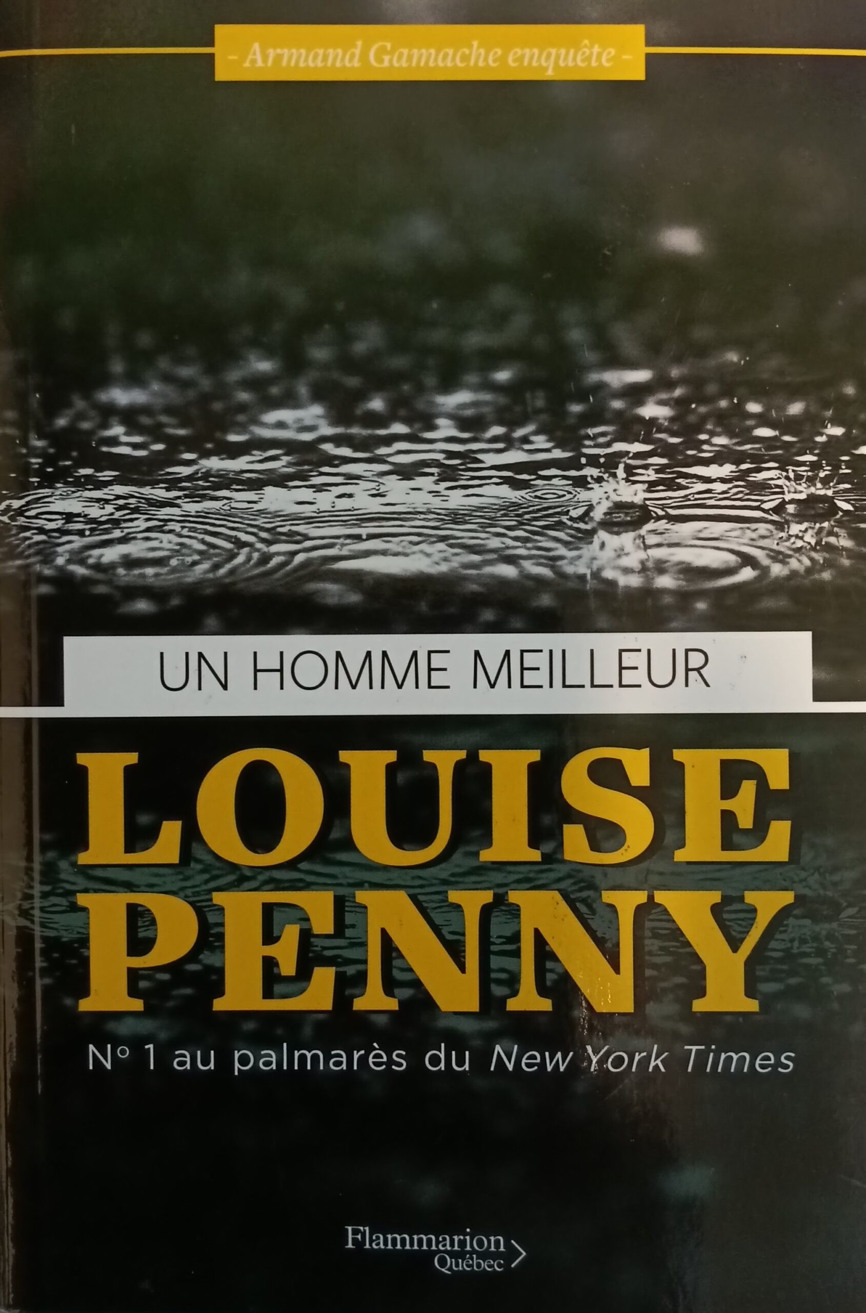 Un homme meilleur Louise Penny