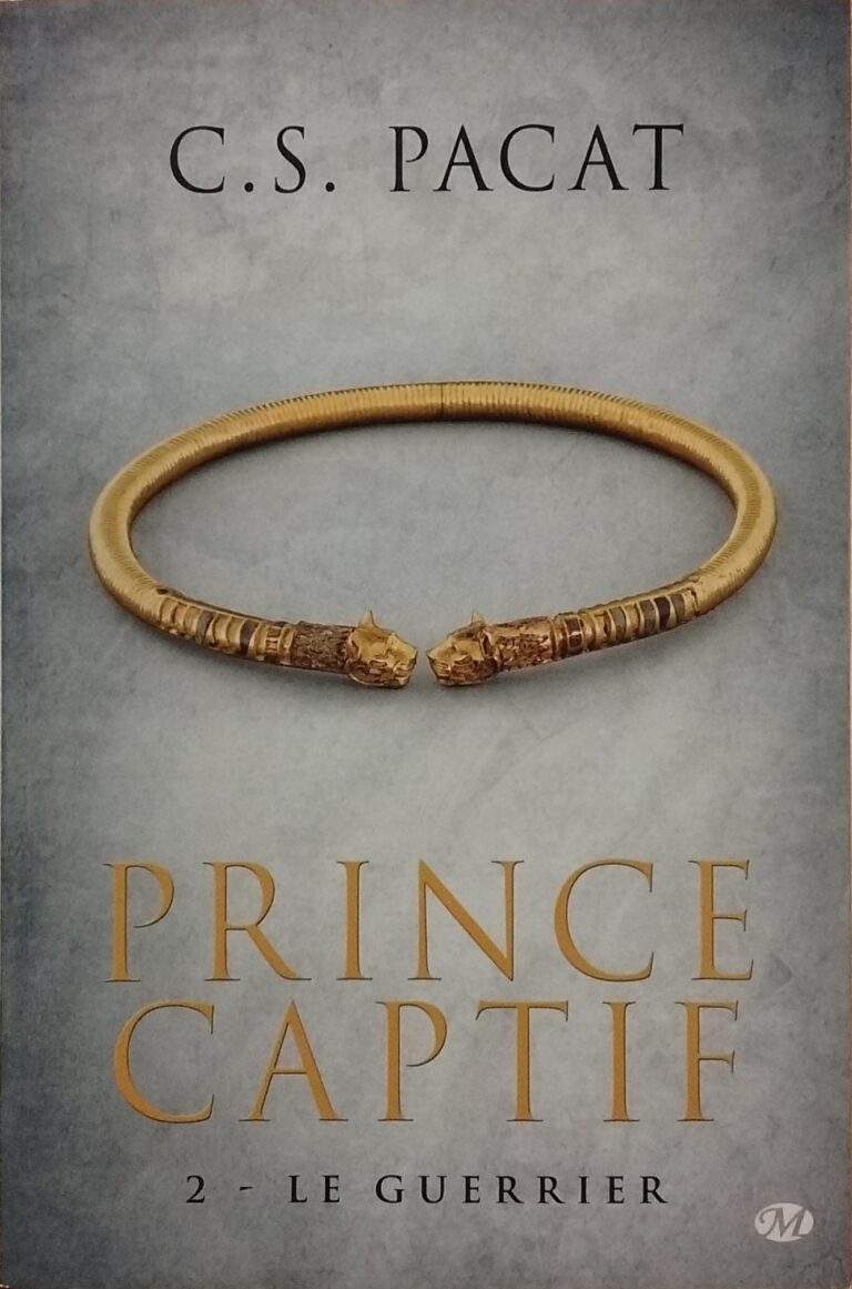 Prince captif Tome 2 : Le Guerrier