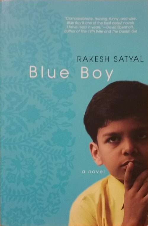 Blue Boy Rakesh Satyal