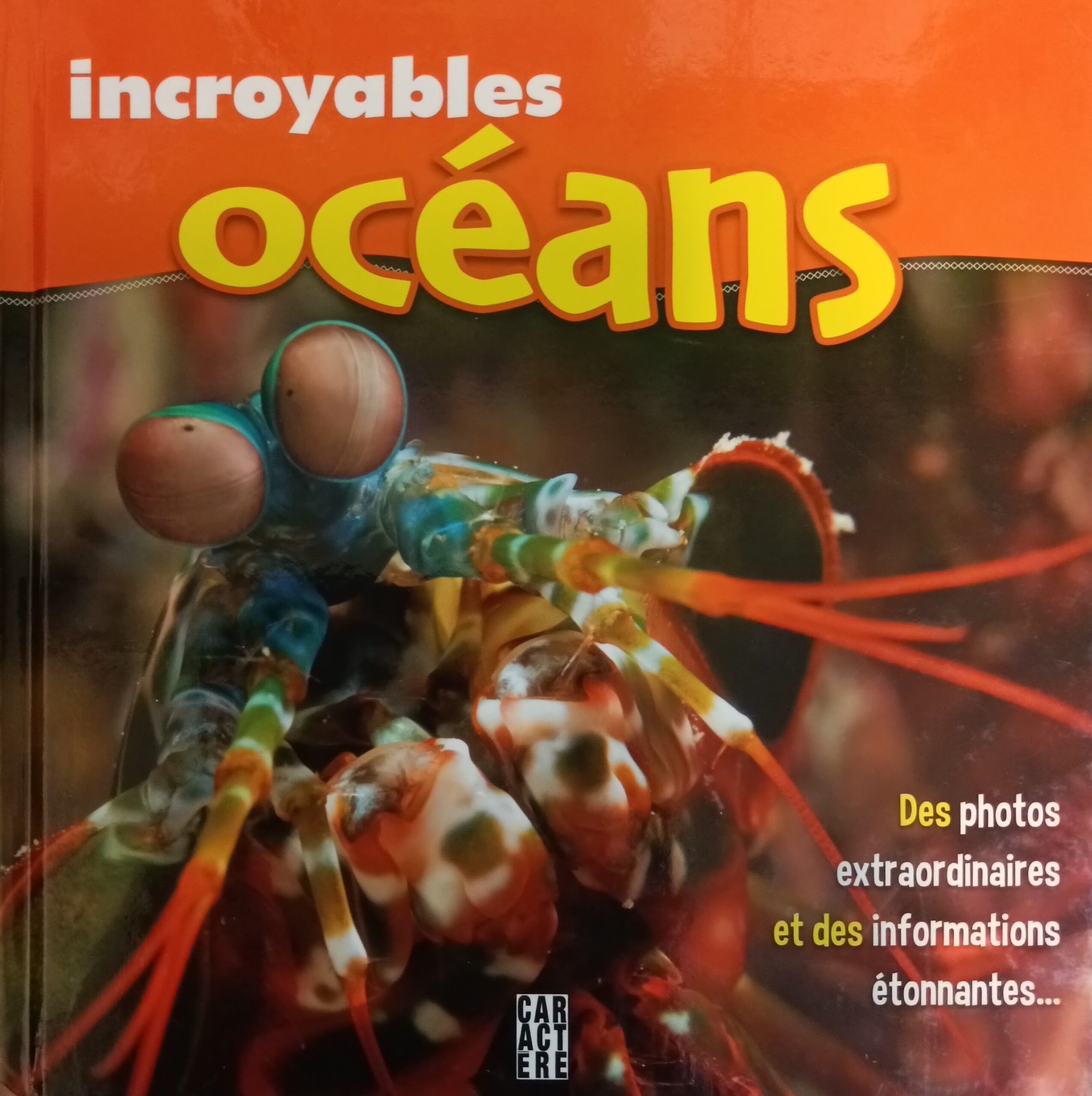 Incroyables océans