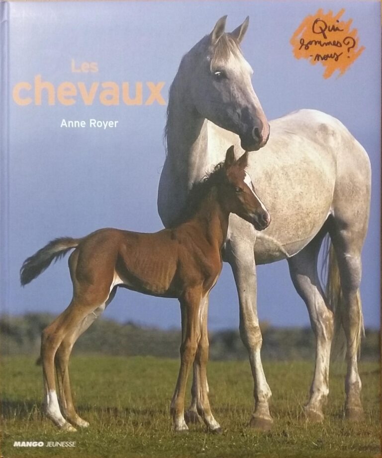 Les chevaux Anne Royer